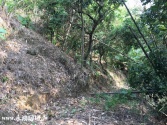 售南投縣中寮鄉爽文旱地旱地257萬