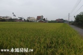 售南投縣草屯鎮土城農地農地2,020萬