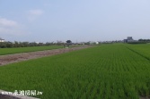 售南投縣草屯鎮草商農地農地2,186萬
