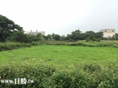 桃園市大園區航空城C1區-倒厝子1242-6農地 桃園市大園區航空城C1區-倒厝子1242-6農地