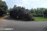 售南投縣南投市吉利路農地農地935萬