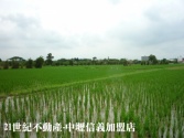 桃園市大園區大江便宜農地《本-106》農地 桃園市大園區大江便宜農地《本-106》農地